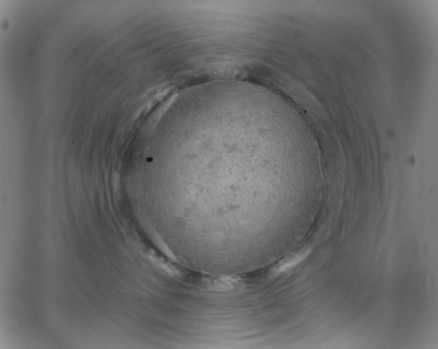 X0000067390432200604131936