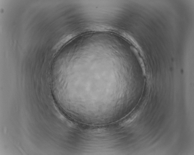 X0000067390433200604131935