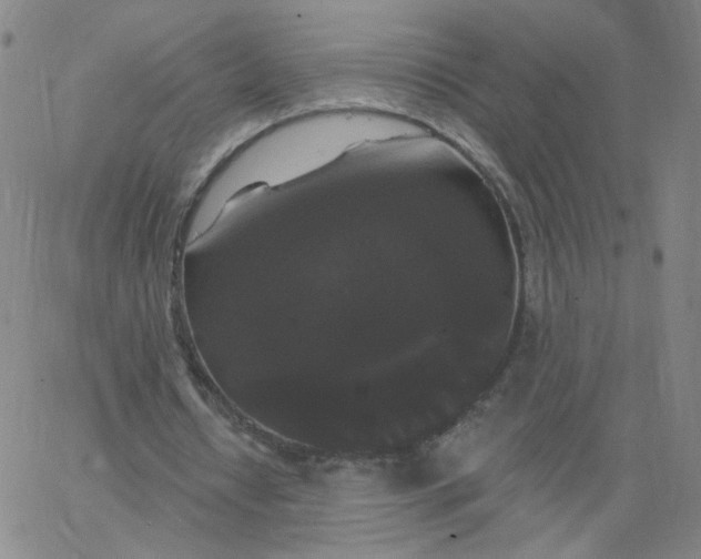 X0000067390434200604131935