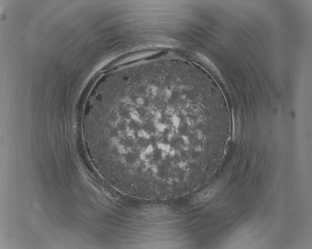 X0000067390435200604131935