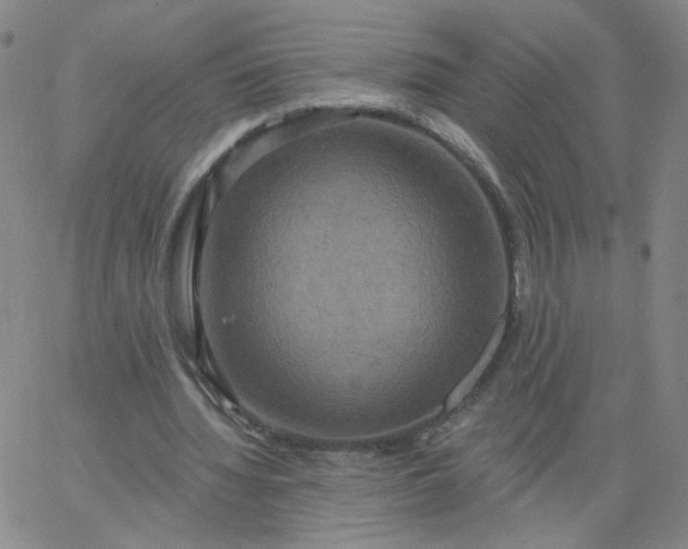 X0000067390436200604131935