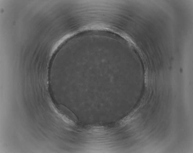 X0000067390438200604131935