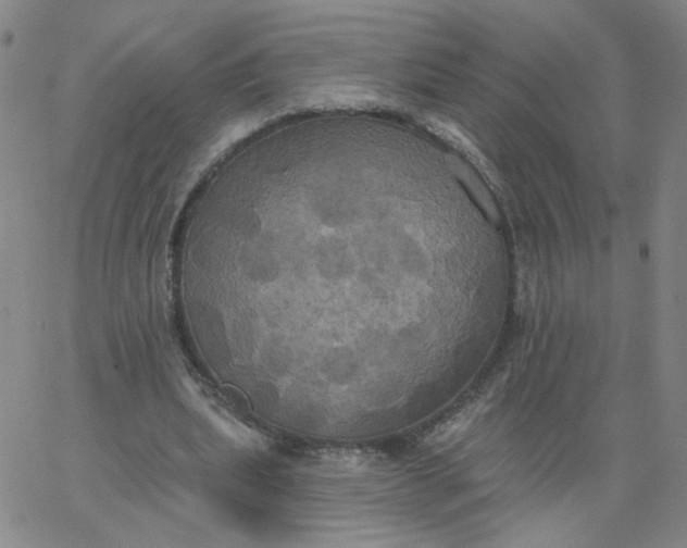 X0000067390439200604131935