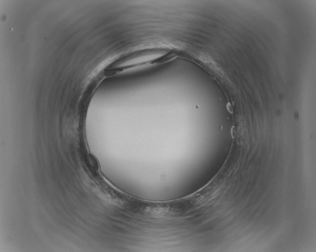 X0000067390440200604131935