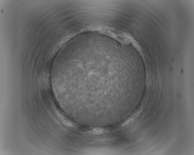 X0000067390441200604131936