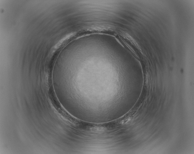 X0000067390444200604131936