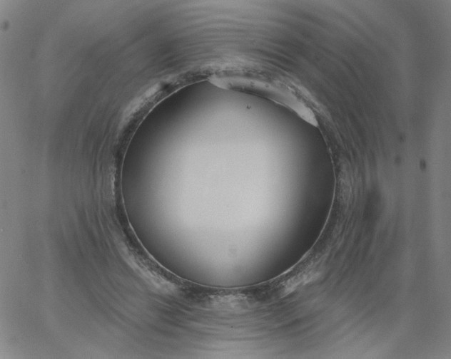 X0000067390446200604131936