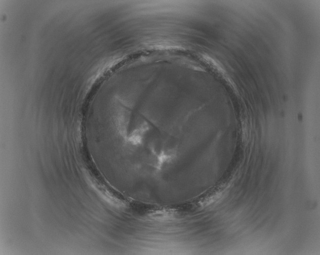 X0000067390447200604131936