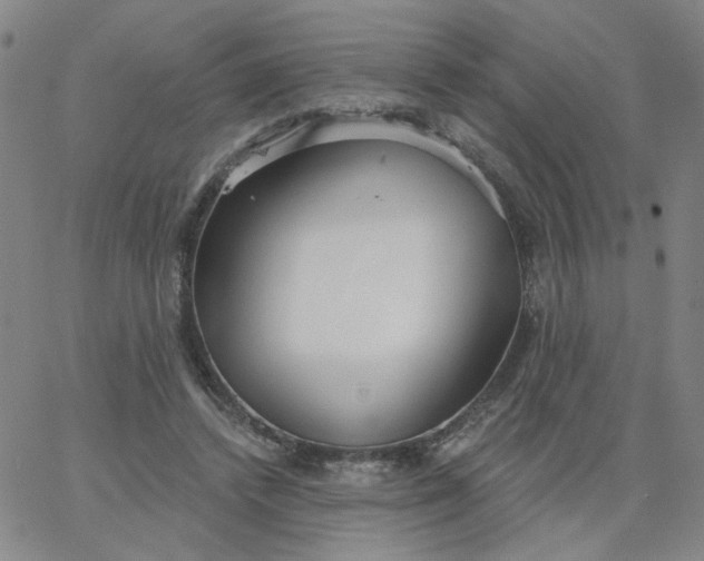 X0000067390448200604131936