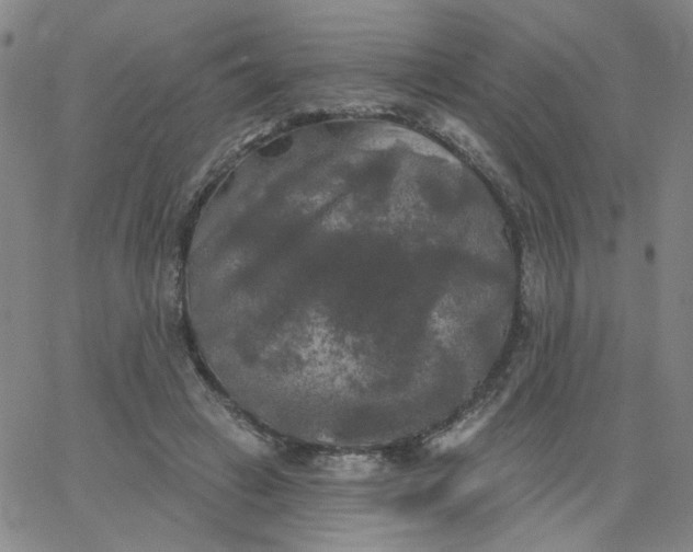 X0000067390449200604131936