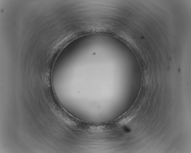 X0000067390450200604131936