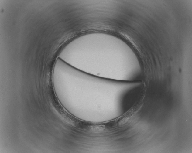 X0000067390451200604131936