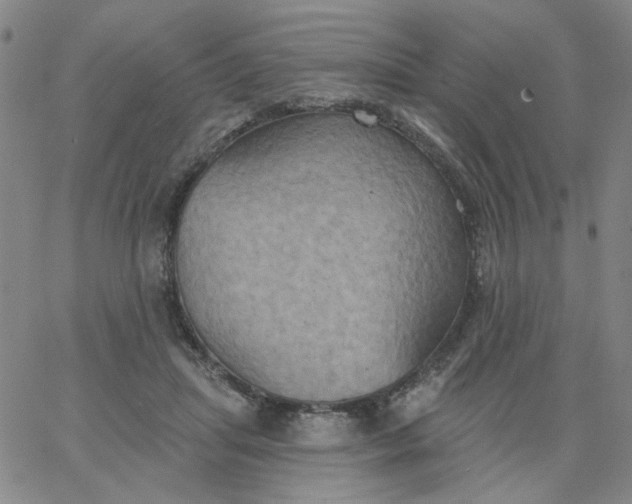 X0000067390455200604131936