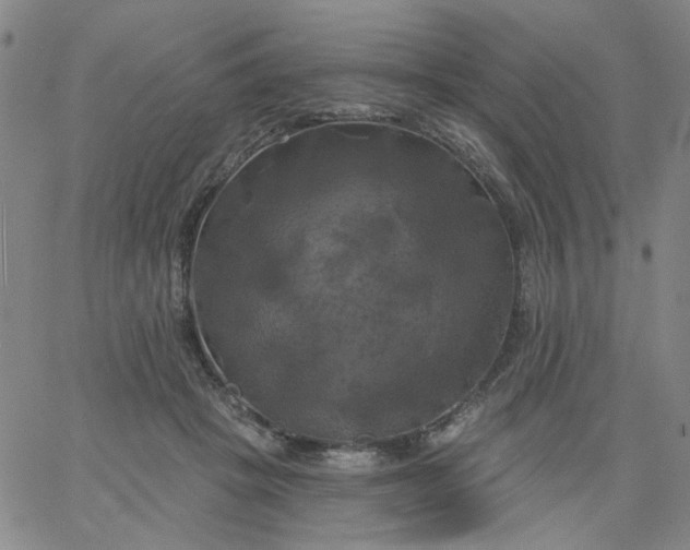 X0000067390457200604131936