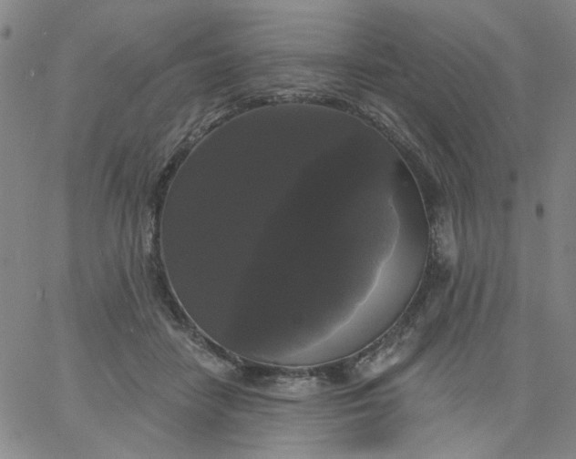 X0000067390458200604131936