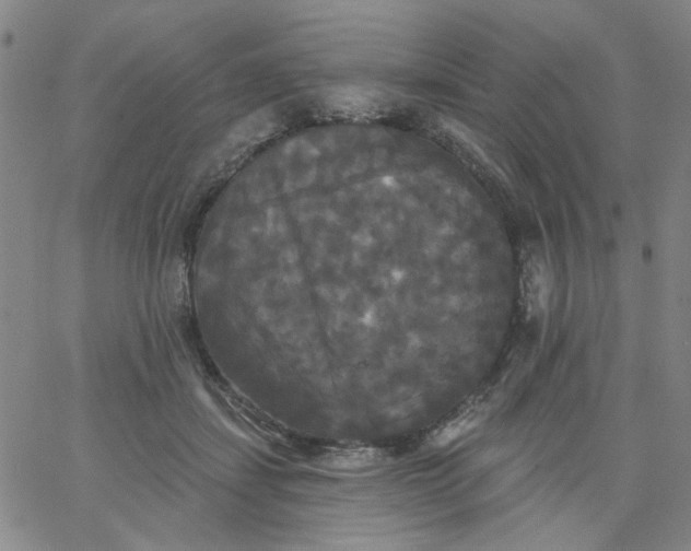 X0000067390459200604131936