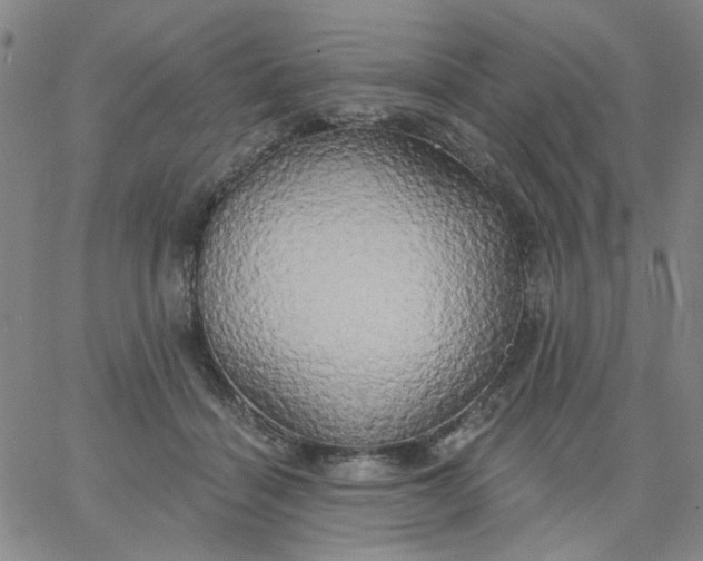 X0000067390460200604131936