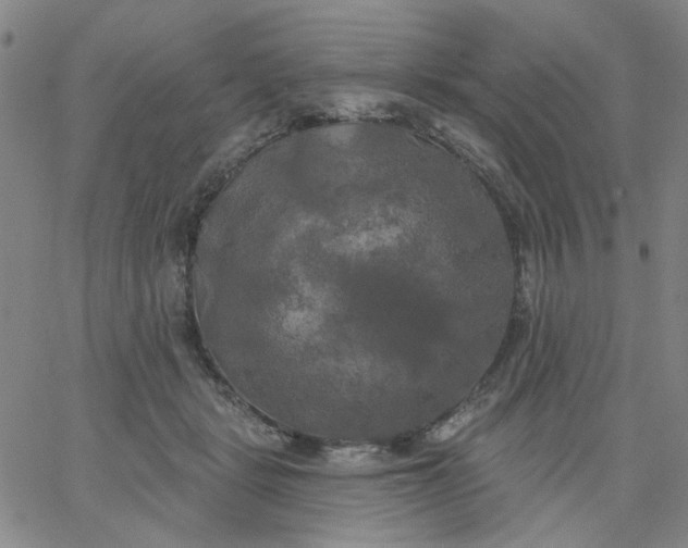 X0000067390461200604131936