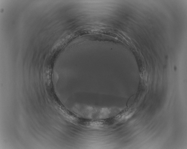 X0000067390462200604131936