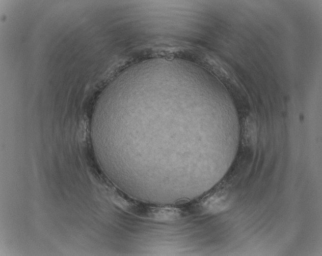 X0000067390463200604131936