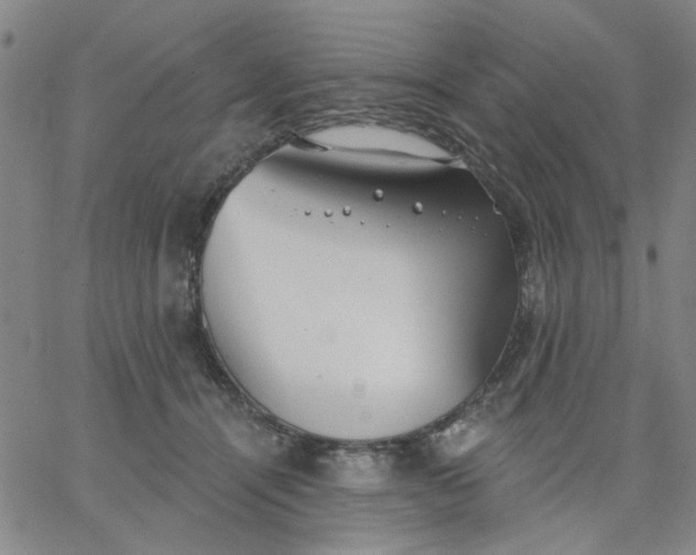 X0000067390464200604131936