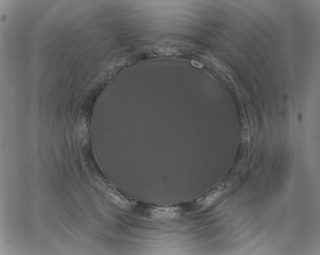 X0000067390465200604131936