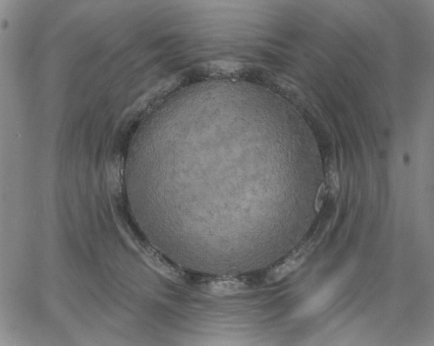 X0000067390468200604131936