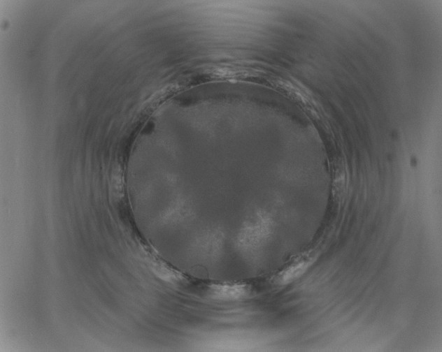 X0000067390469200604131936