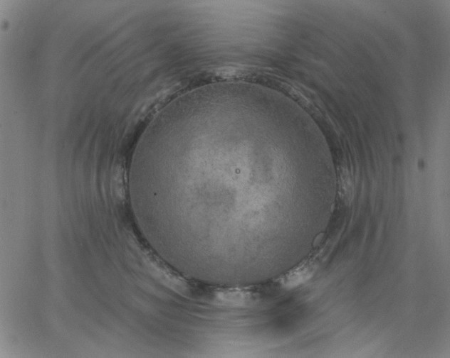 X0000067390470200604131936