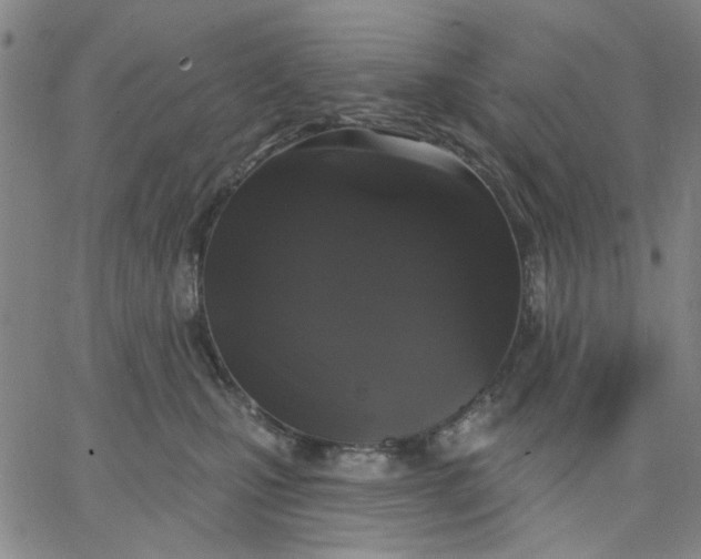 X0000067390471200604131936