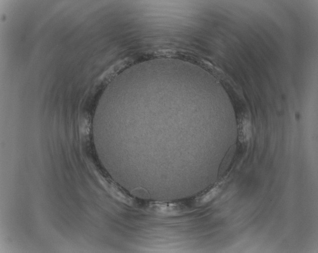 X0000067390472200604131936