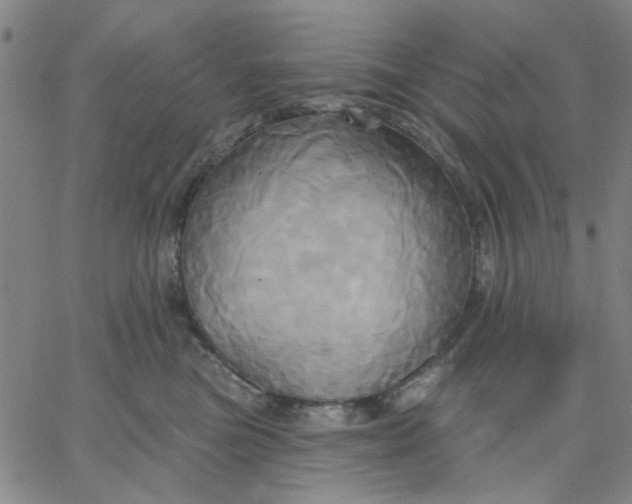 X0000067390473200604131936