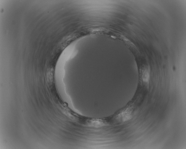 X0000067390475200604131936