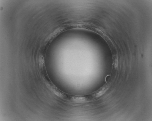 X0000067390476200604131936