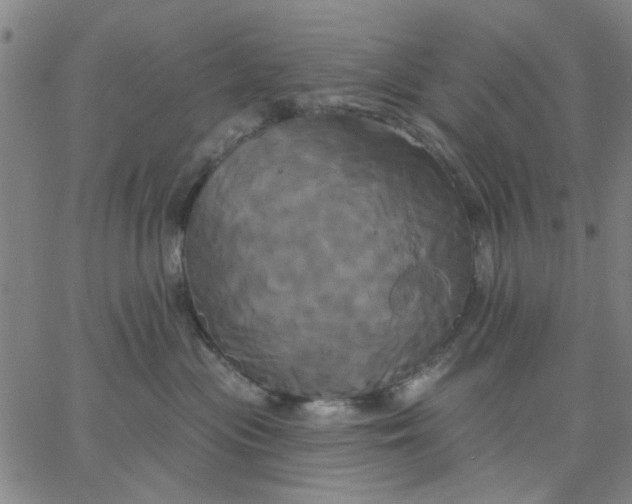 X0000067390477200604131936