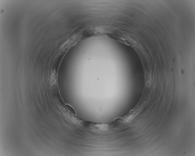 X0000067390478200604131936