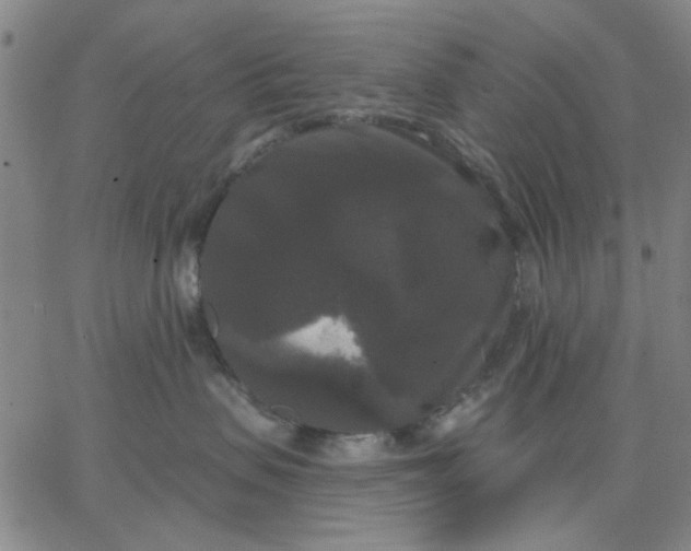 X0000067390479200604131936