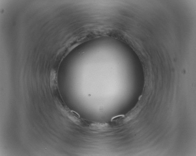 X0000067390480200604131936