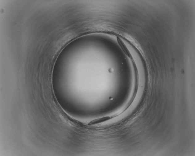 X0000067390481200604131935