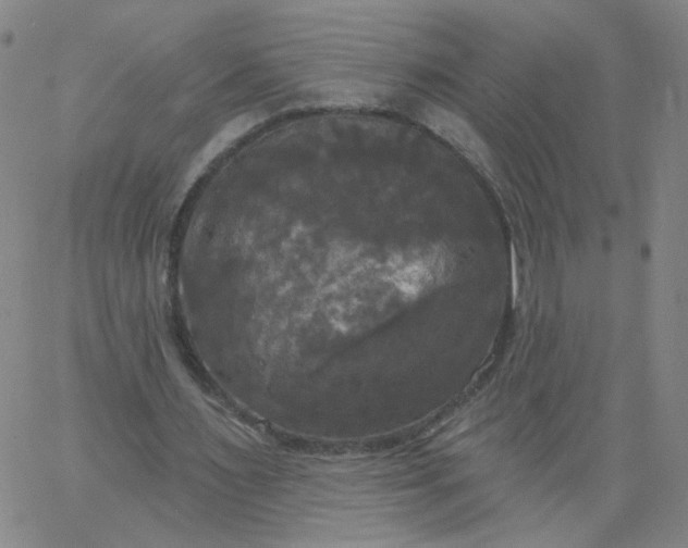 X0000067390483200604131935