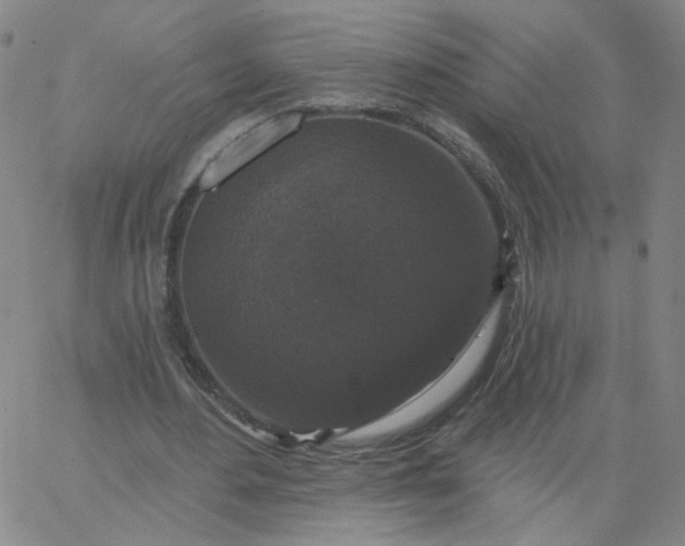 X0000067390484200604131935