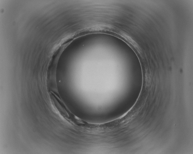 X0000067390485200604131935