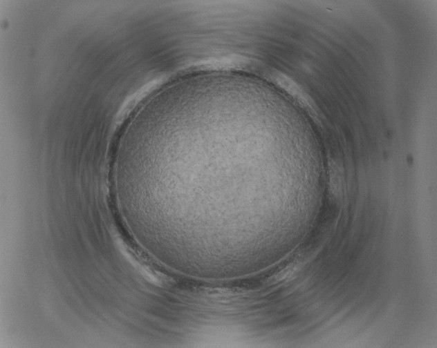 X0000067390486200604131935