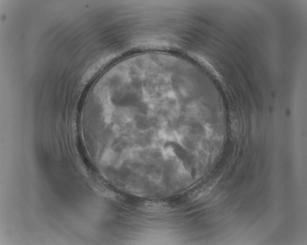 X0000067390487200604131935