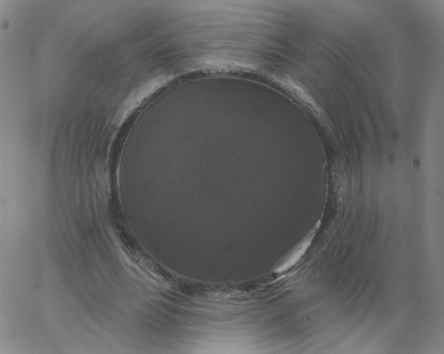 X0000067390488200604131935