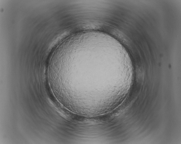 X0000067390490200604131935