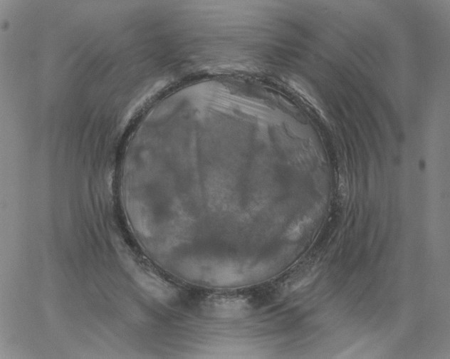 X0000067390491200604131935