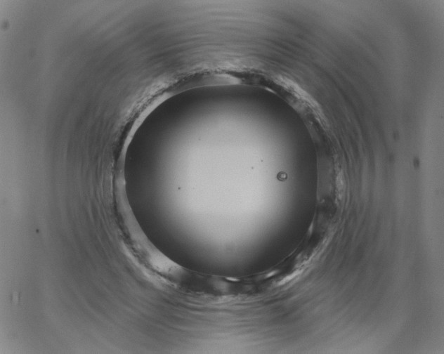 X0000067390493200604131935