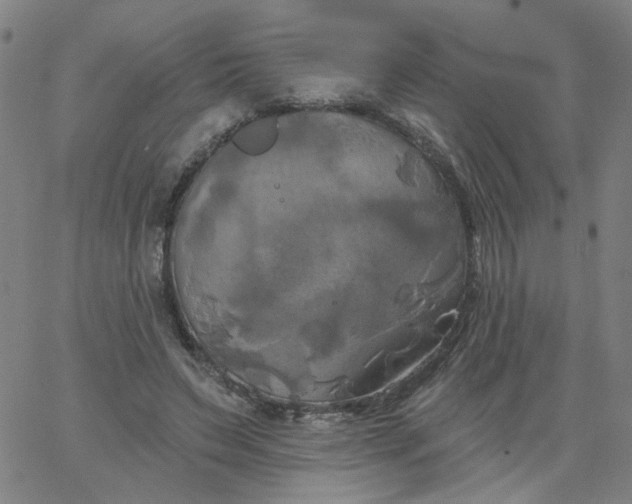 X0000067390495200604131935