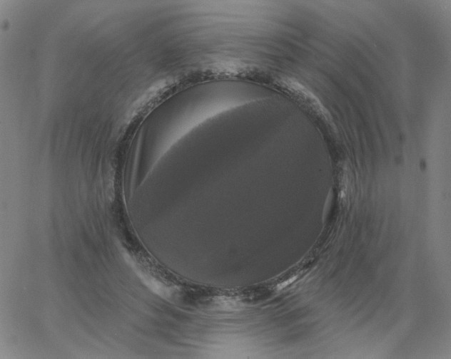 X0000067390496200604131935